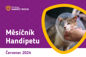 Měsíčník Handipetu červenec 2024 s panem Bridgertonem